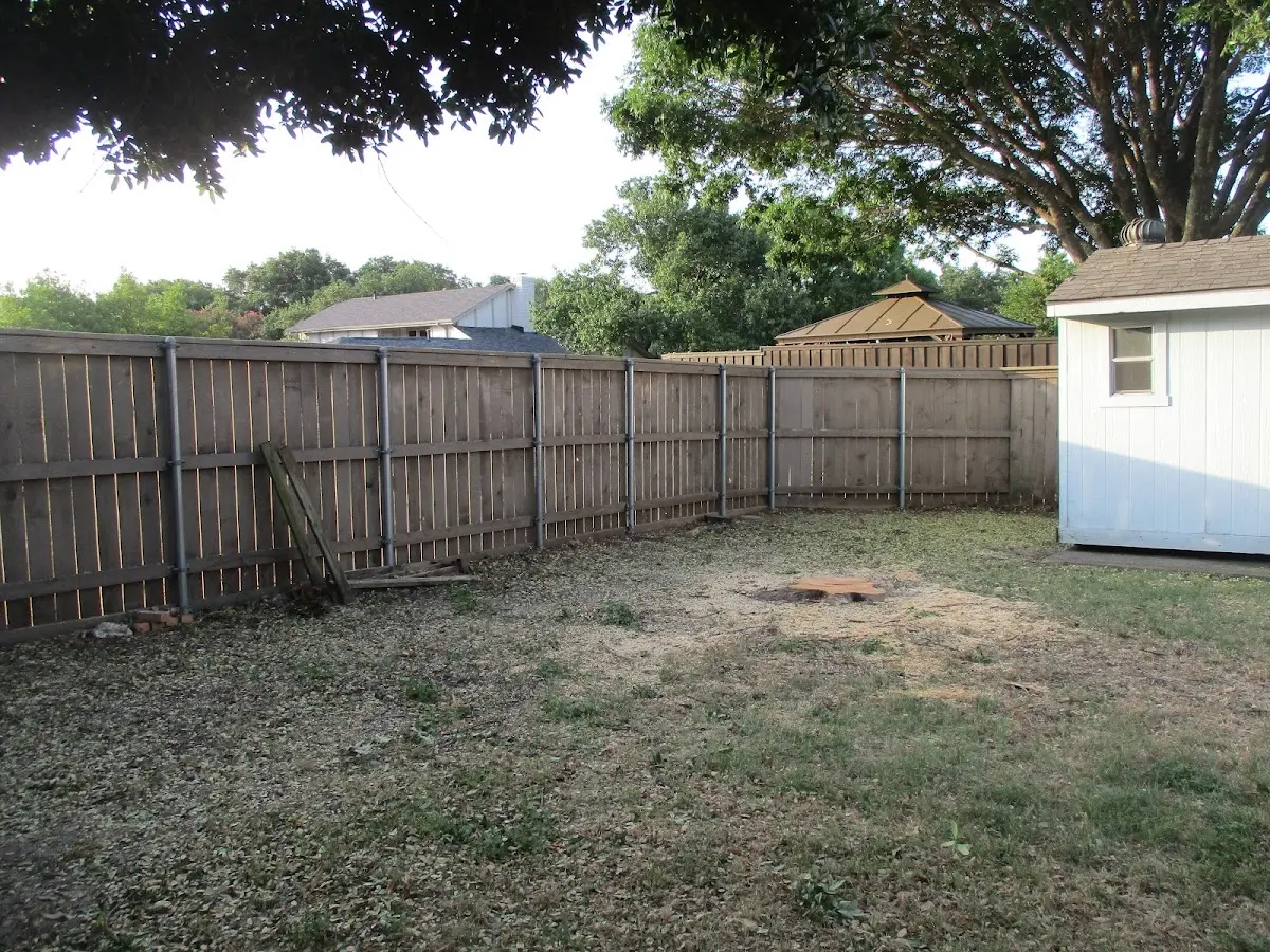 Cleared yard after professional tree removal in Lyndora