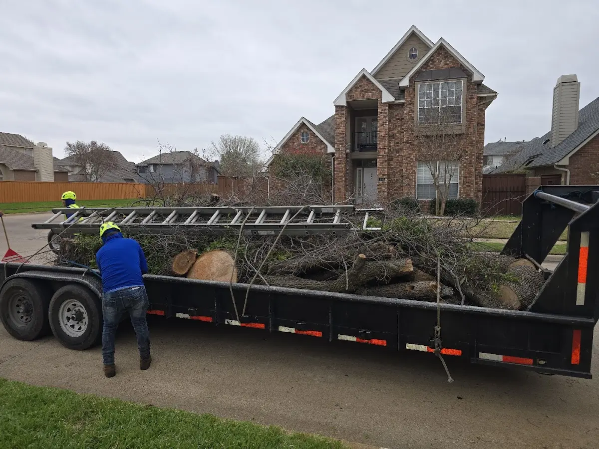 Expert Tree Removal with proper safety equipment in Lyndora